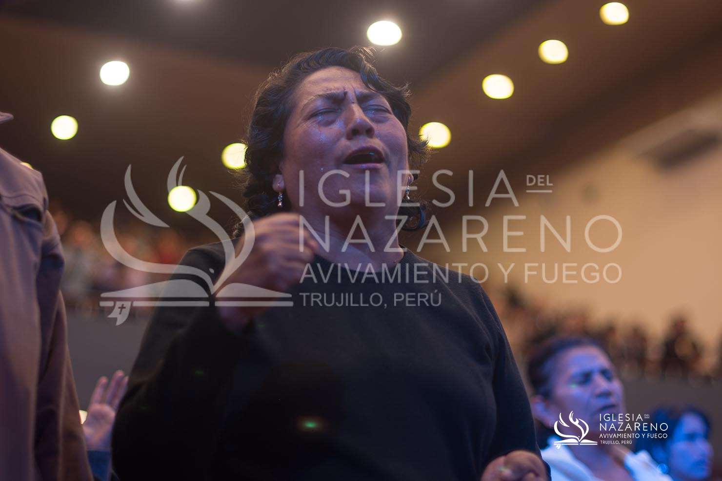 Noche de Milagros